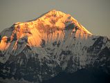 Poon Hill 09 Dhaulagiri At Sunrise 